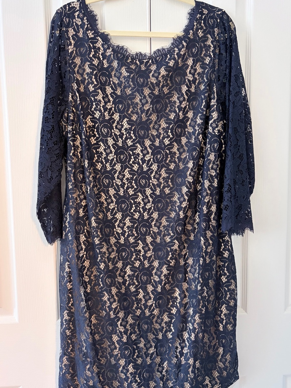 Eliza J Navy Lace Overlay Dress with Nude Lining